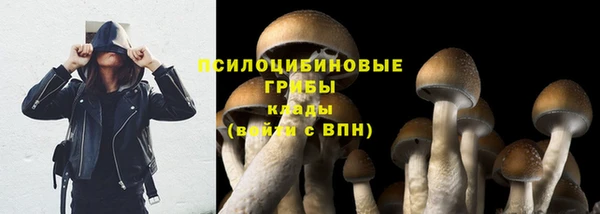 кокаин Верея