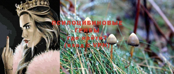ГАЛЛЮЦИНОГЕННЫЕ ГРИБЫ Верхний Тагил