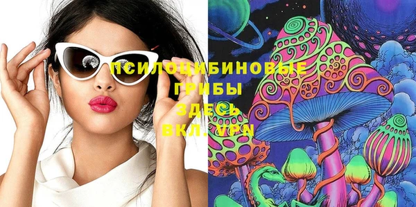 ГАЛЛЮЦИНОГЕННЫЕ ГРИБЫ Верхний Тагил