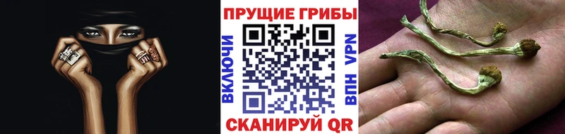 Галлюциногенные грибы GOLDEN TEACHER  Ивдель 